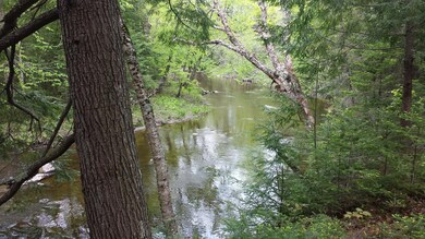 20190601_111534_resized_1