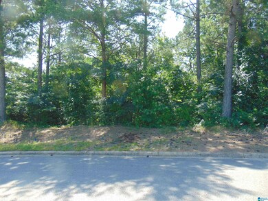 162 Jewell Cir, Bessemer, AL 35022 - photo 4