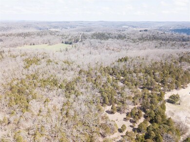 5530 Calvey Creek Rd, Robertsville, MO 63072 - photo 4