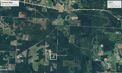 00, Buckner, AR 71827 - photo 6