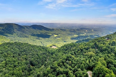 TBD Old Mill Ct, Fancy Gap, VA 24053 - photo 2