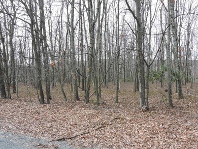 Lot 91 Wilson Ct, Saylorsburg, PA 18353 - photo 3
