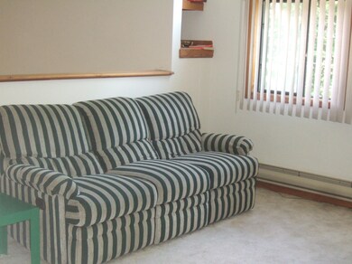 1110 Wallenpaupack Dr, Lake Ariel, PA 18436 - photo 3