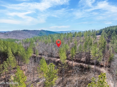 10-Lot-1-6-Prigmore-Ridge-Rd-Decatur-TN