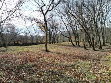 0 Keystone Rd unit (Racoon Creek Cabin), Vinton, OH 45686 - photo 6