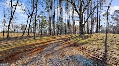 113 Hickory Flat Rd, Milton, GA 30004 - photo 2