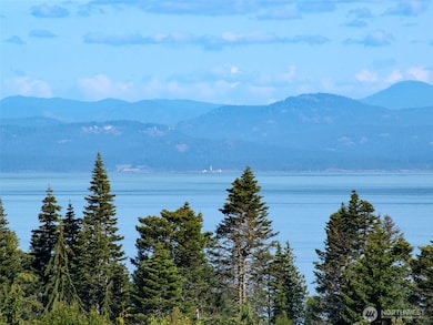 1000 Lemmon Rd, Port Angeles, WA 98362 - photo 7