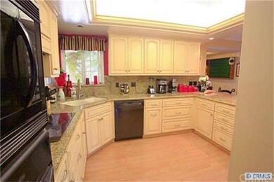Custom Remodel of Gormet Kitchen