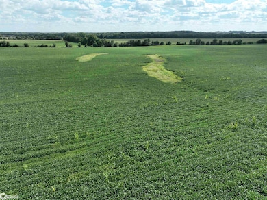 0 Racine Ave unit NOC6332170, Quasqueton, IA 50682 - photo 7