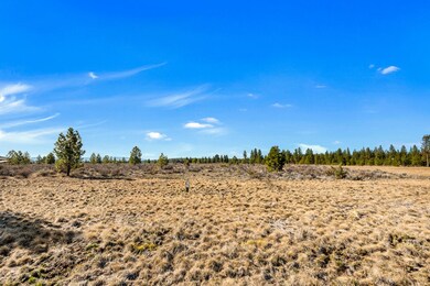 OReilly_20240402_2_295856_72ppi