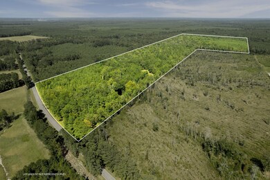 Gum_Swamp_Road-1