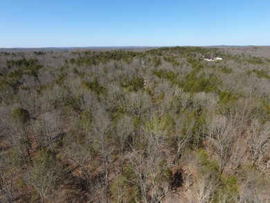 DJI_0066
