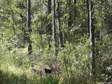 TBD Spring Dr, Middleburg, FL 32068 - photo 5