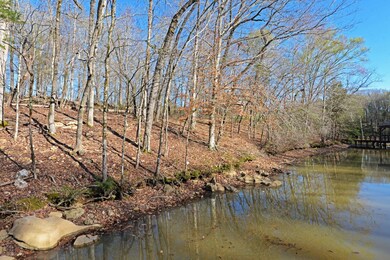 7900 Giorgio Cir, Ooltewah, TN 37363 - photo 4