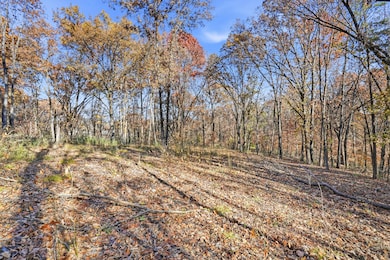 9600 S Smith Hatchery Rd, Columbia, MO 65203 - photo 3