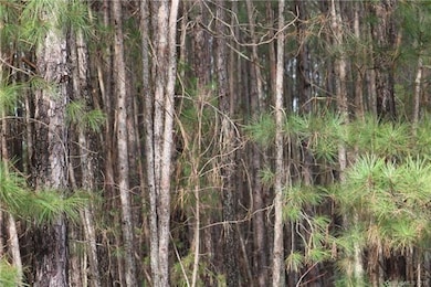 #15 State Road S-46-1102 unit 15, York, SC 29745 - photo 7