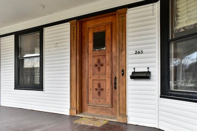 3 Front Door Detail