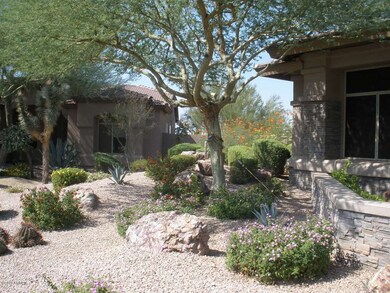 BEAUTIFUL LANDSCAPING FRONT