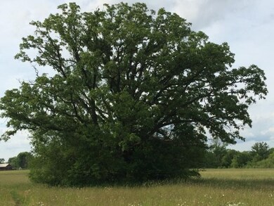 19.8 Ac Biglow Rd, Rutland, WI 53521 - photo 5