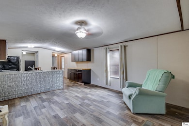 49 Weems Rd, Delhi, LA 71232 - photo 4