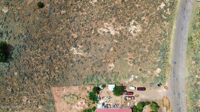 498 Snowflake Heights Blvd, Snowflake, AZ 85937 - photo 6