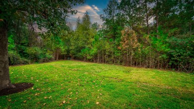 25002 Butler Hill Ct, Tomball, TX 77375 - photo 4