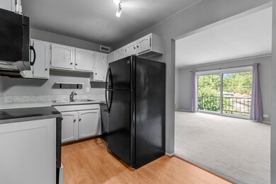 3335 Kirchoff Rd unit 4I, Rolling Meadows, IL 60008 - photo 5