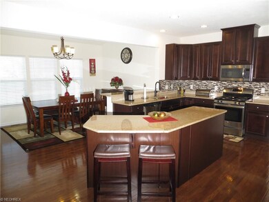 Cherry Kitchen w/Hardwood Floors, Stainless Steel 