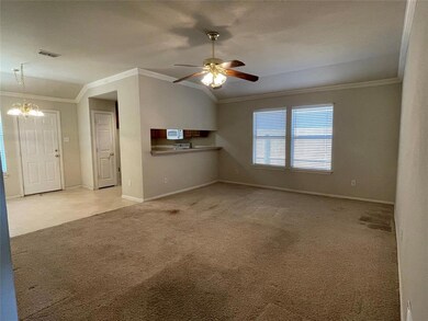 810 Rambling Ct, Granbury, TX 76049 - photo 7