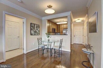 Dominion Heights unit 207, Arlington, VA 22207 - photo 5