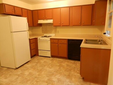 233 12th St, Plainwell, MI 49080 - photo 4