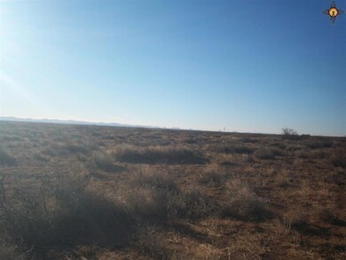 x Iron Wood Rd SE, Deming, NM 88030 - photo 6
