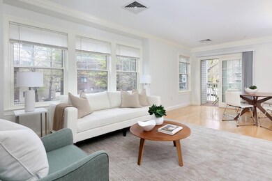 121 Centre St unit 201, Brookline, MA 02446 - photo 4