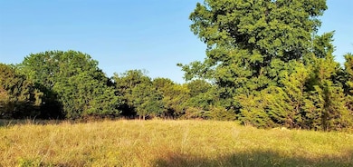 16002 Faircrest Dr, Whitney, TX 76692 - photo 4