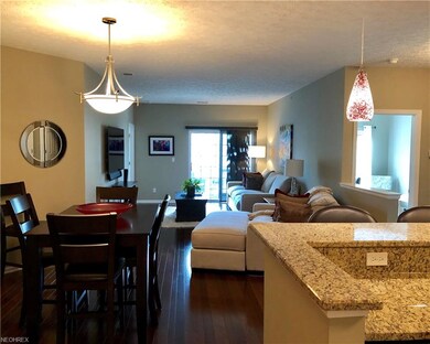 714 Aqua Marine Blvd unit 33, Avon Lake, OH 44012 - photo 5