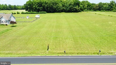 20229 W Piney Grove Rd, Georgetown, DE 19947 - photo 4