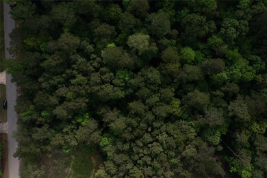 9203 Deer Lodge Rd, Magnolia, TX 77354 - photo 5