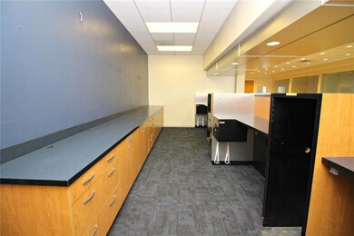 9850 Highway 23, Belle Chasse, LA 70037 - photo 6