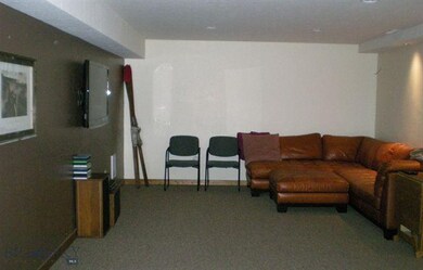 Basement - Media room