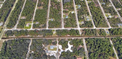 2412 Mabry St, Alva, FL 33920 - photo 5