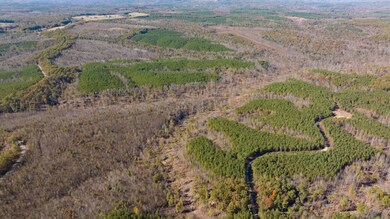 0 Old Highway 18 unit RTC2588370, Stewart, TN 37175 - photo 3