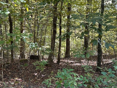 00 Sfc 700, Forrest City, AR 72335 - photo 6