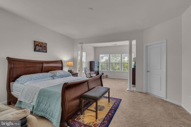 22900 Chestnut Oak Terrace, Sterling, VA 20166 - photo 7