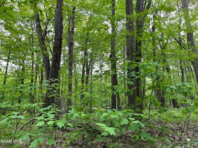 00 Ridge Run Rd unit Lot 227, Claysburg, PA 16625 - photo 7