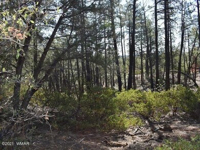 1675 S Pleasant View Dr, Show Low, AZ 85901 - photo 6