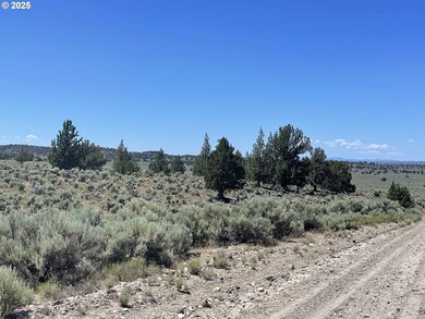 0 Benjamin Lake Rd unit L 502 528239259, Christmas Valley, OR 97641 - photo 5