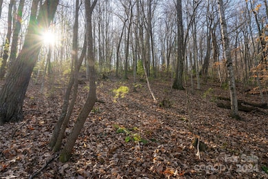 0000 Perrion Ave unit 18, Weaverville, NC 28787 - photo 3
