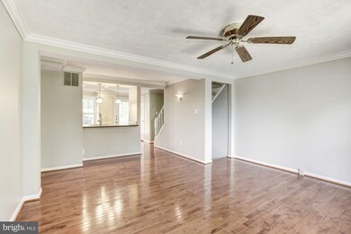 1646 Fieldthorn Dr, Reston, VA 20194 - photo 7