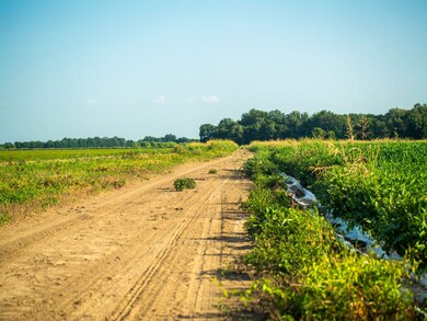 + - 705 Acres unit Tallahatchie County, Drew, MS 38944 - photo 5