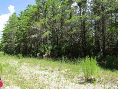 Lot 9 Sea Meadows Dr, Perry, FL 32348 - photo 5